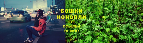 PSILOCYBIN Богородск