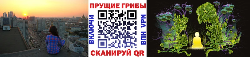 Галлюциногенные грибы Cubensis  Серафимович 